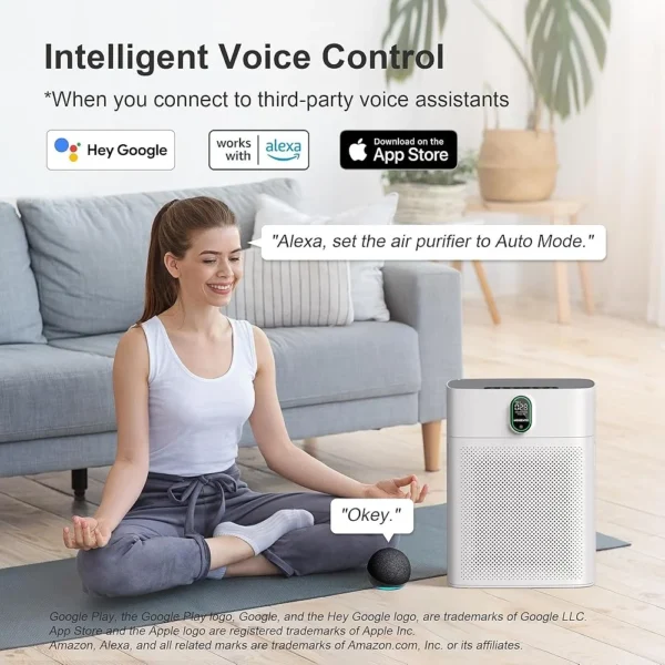 Smart Air Purifier Wi-Fi Alexa Compatible HEPA Filter PM2.5 Display Auto Mode Large Rooms up to 1076 ft² Efficient Air Quality - 图片 4